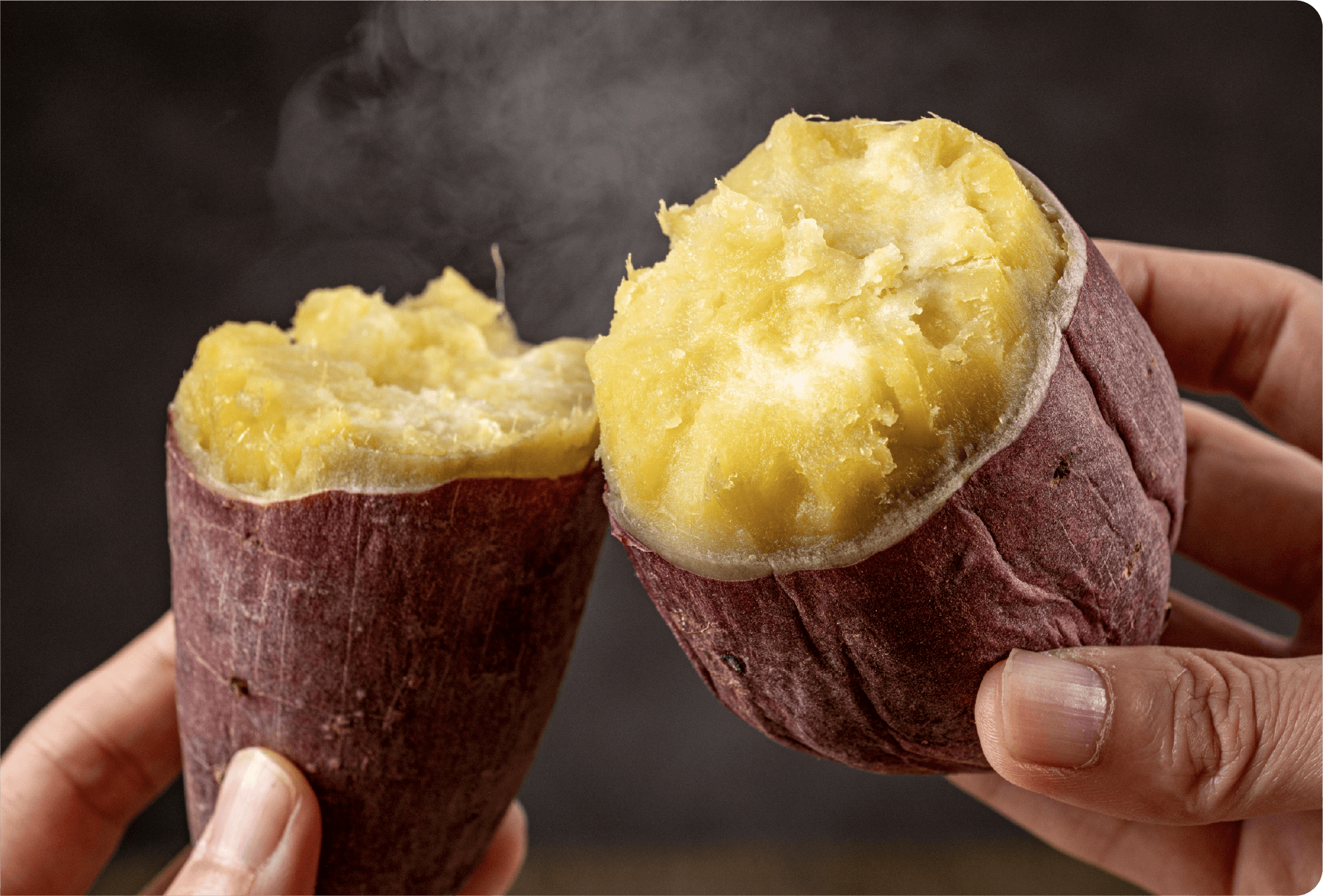 ヘルスフード事業